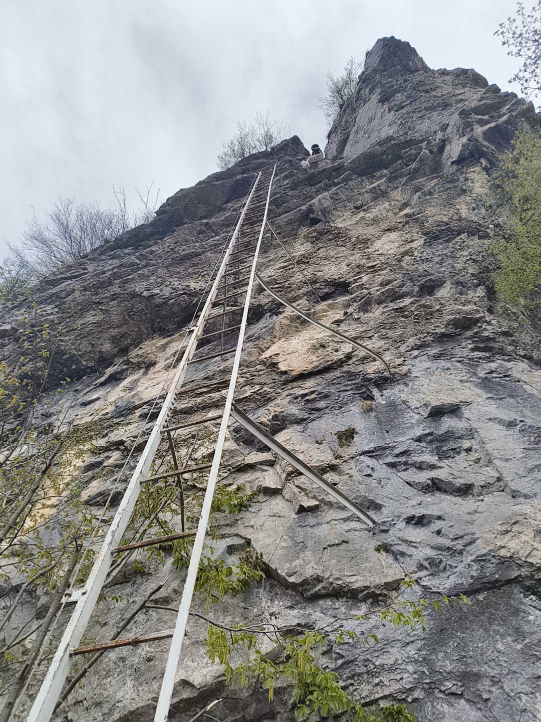 Foto n° 8 del trekking Ferrata Zucco Sileggio